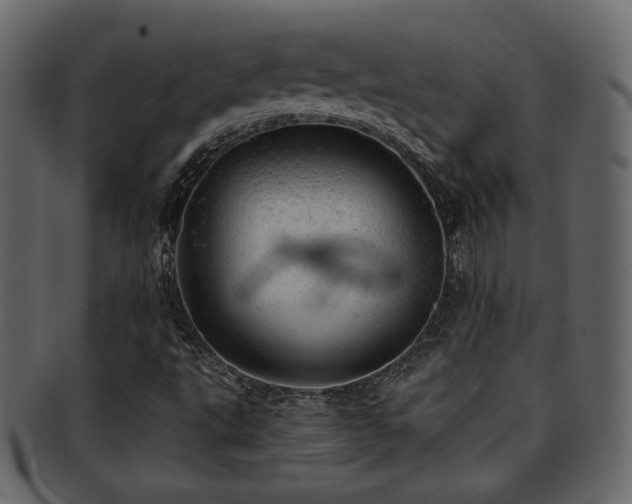 X0000093211495200709261545