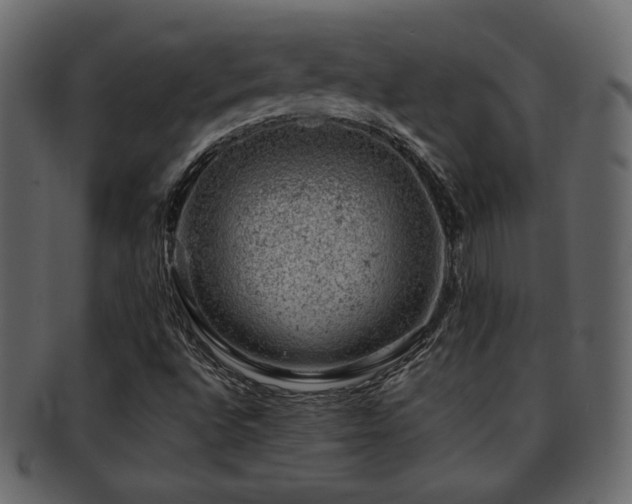 X0000093211496200709261545