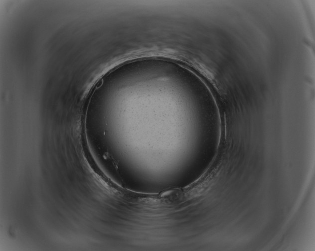 X0000093211500200709261546