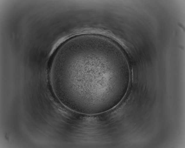 X0000093211501200709261546