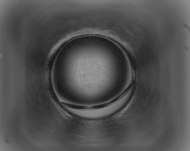 X0000093211502200709261546