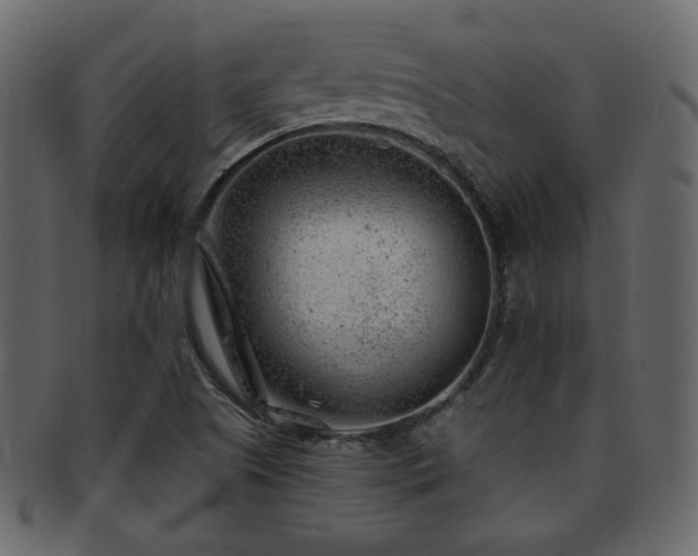 X0000093211505200709261546