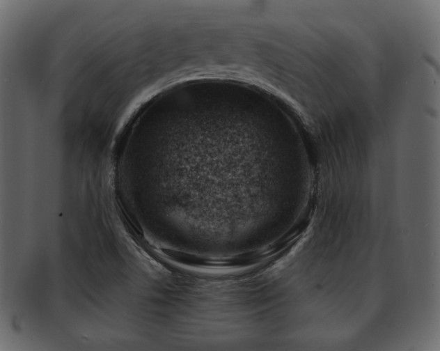 X0000093211506200709261546