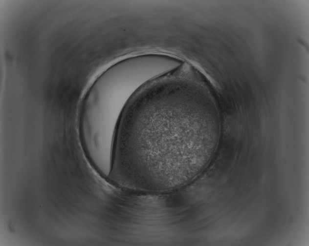 X0000093211508200709261546