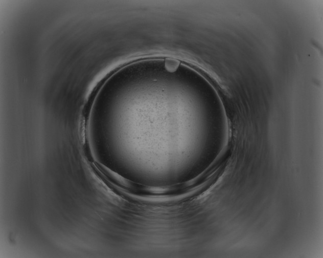 X0000093211510200709261546
