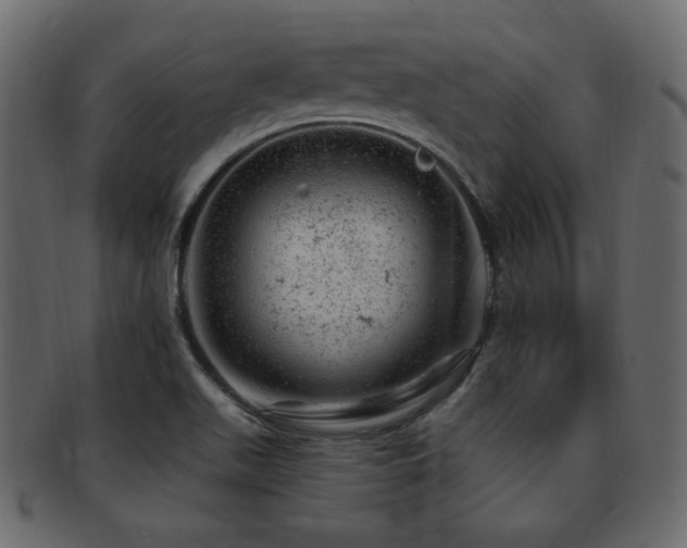 X0000093211511200709261546