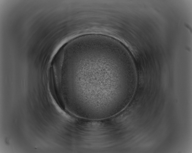X0000093211515200709261546