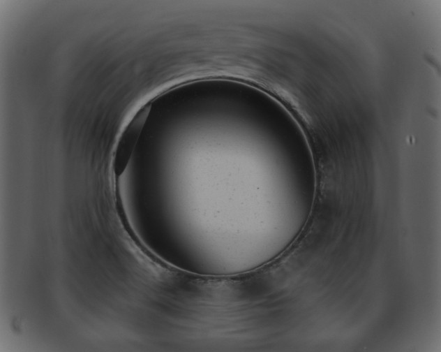 X0000093211516200709261546