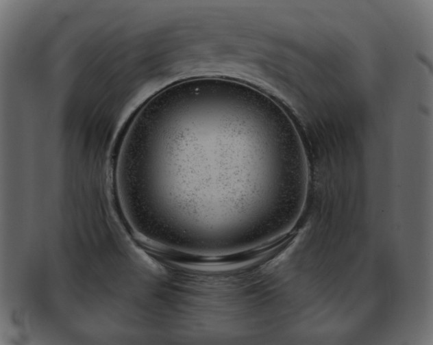 X0000093211517200709261546