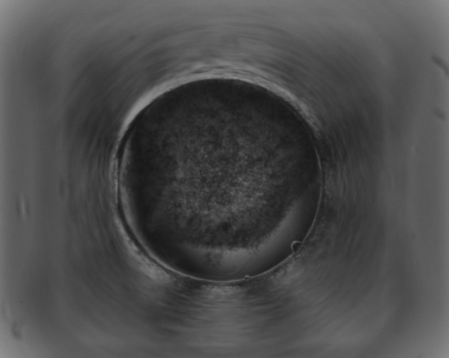 X0000093211522200709261546