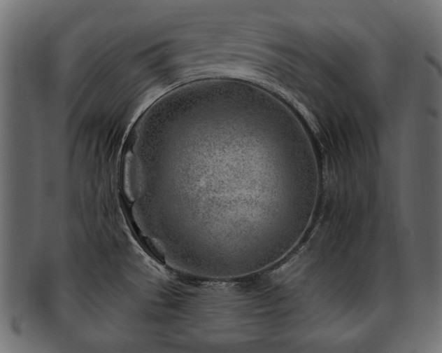 X0000093211529200709261546