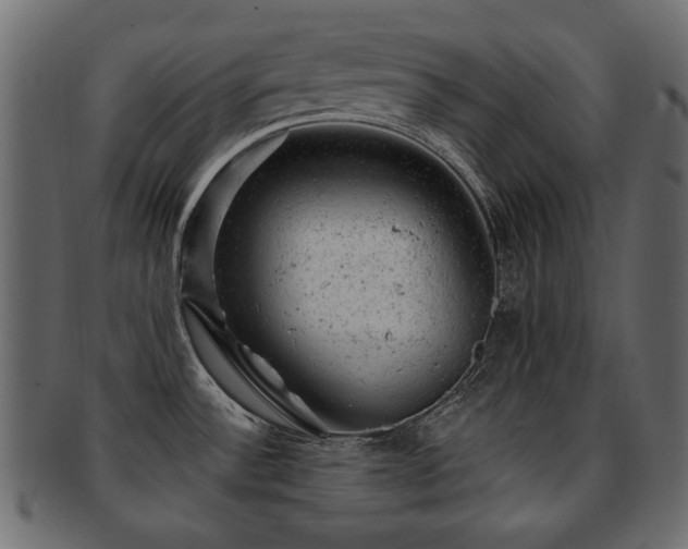 X0000093211532200709261546