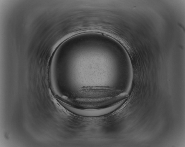 X0000093211534200709261546