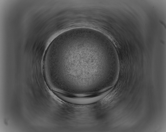 X0000093211535200709261546