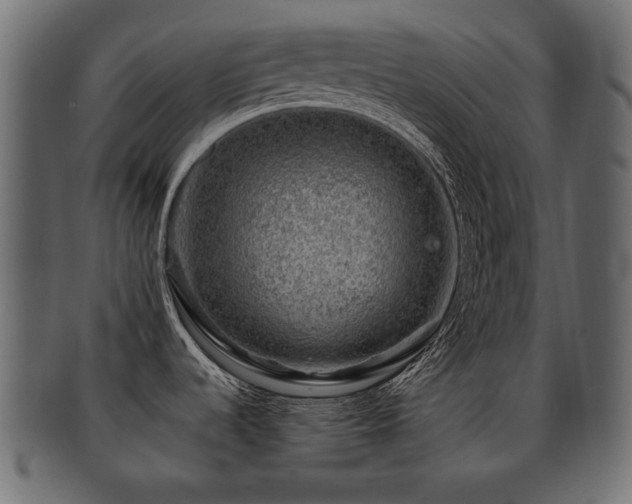 X0000093211536200709261546