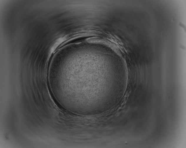 X0000093210003200710031429