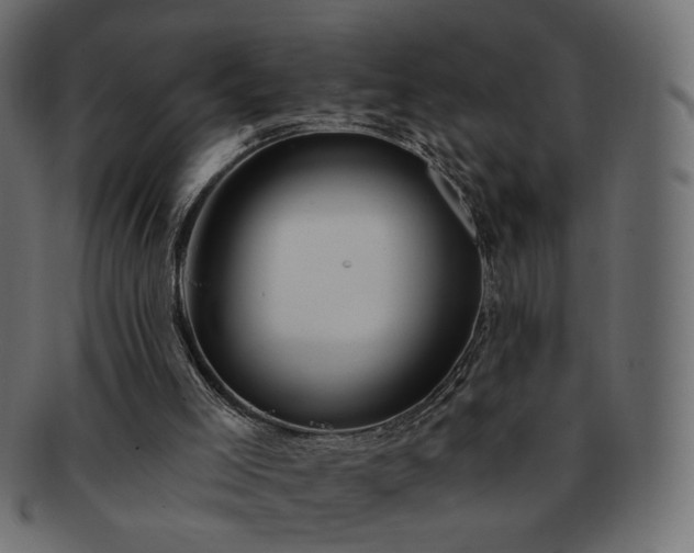 X0000093210005200710031429