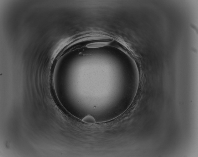 X0000093210007200710031429