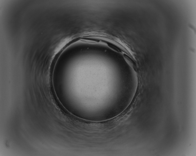 X0000093210008200710031429