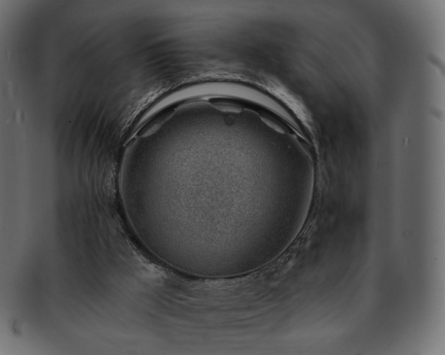 X0000093210009200710031429