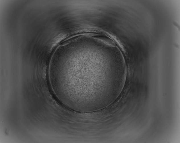 X0000093210010200710031429