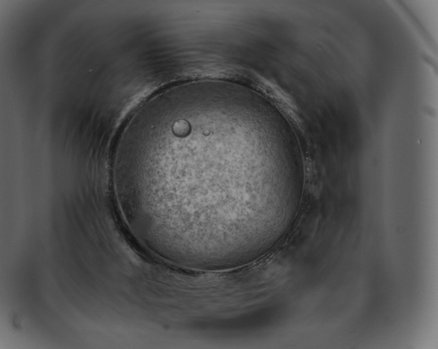 X0000093210012200710031429