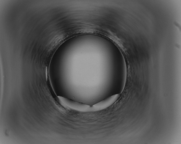 X0000093210013200710031429