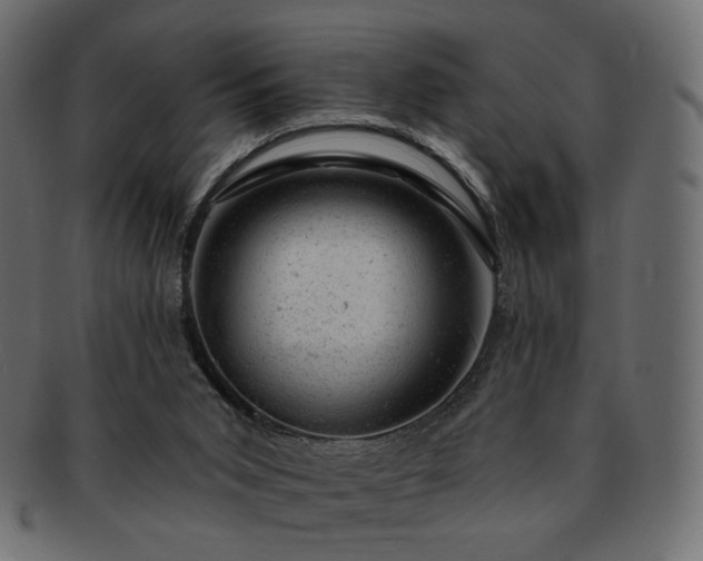 X0000093210015200710031429