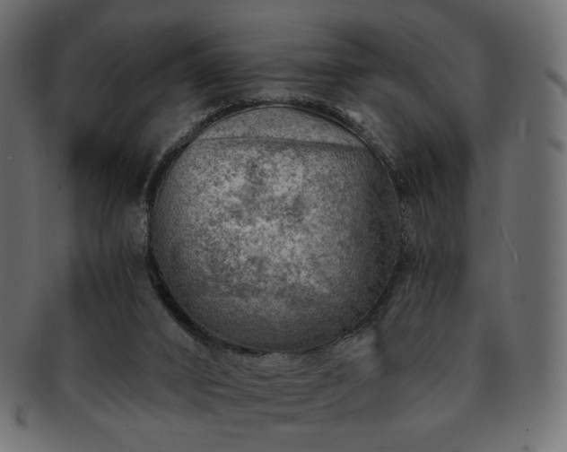 X0000093210016200710031429