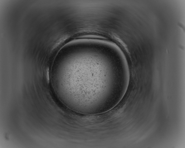 X0000093210020200710031429