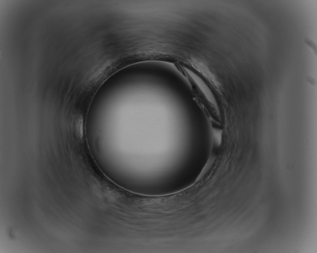 X0000093210021200710031429