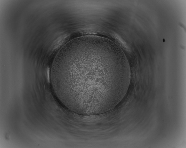 X0000093210022200710031429