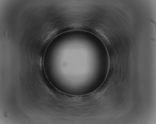 X0000093210024200710031429