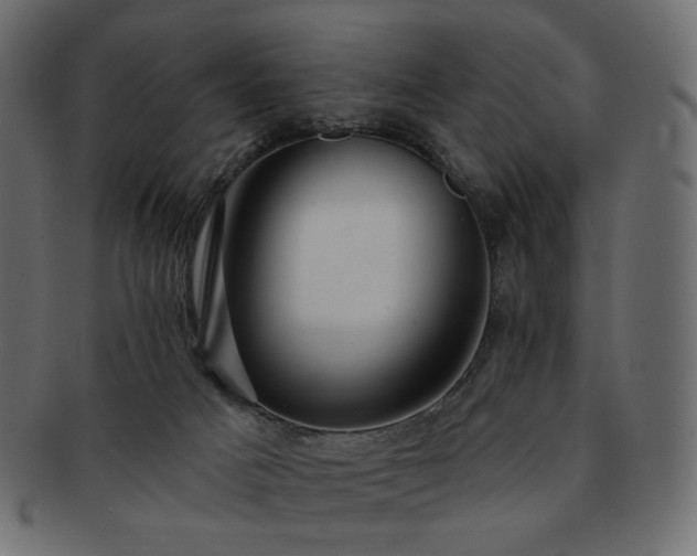 X0000093210025200710031429