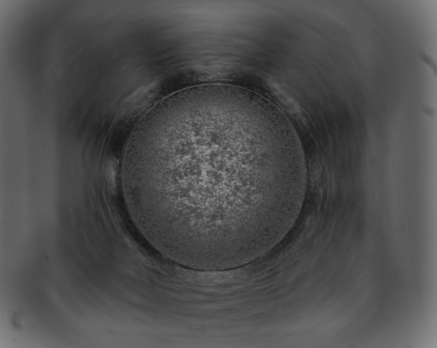 X0000093210026200710031429