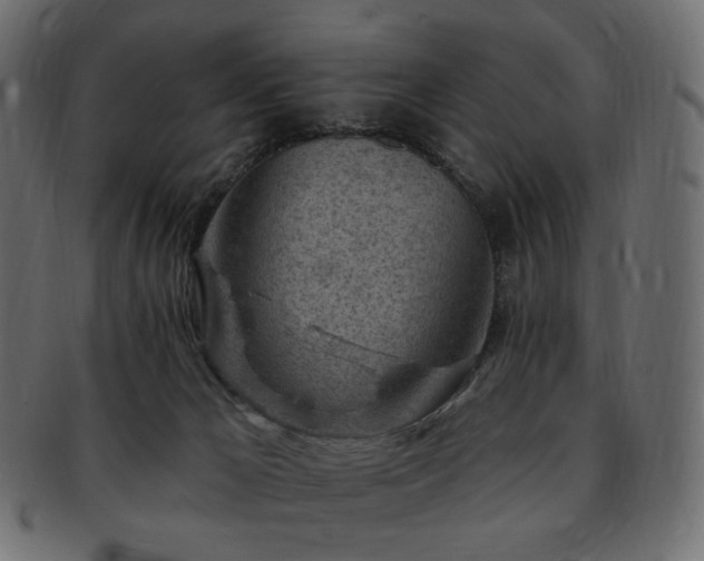 X0000093210029200710031429