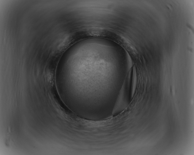 X0000093210031200710031429