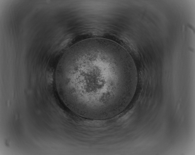 X0000093210032200710031429