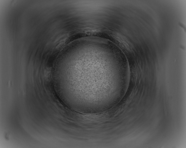 X0000093210034200710031429