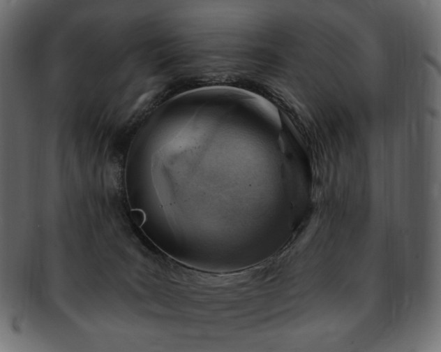 X0000093210035200710031429