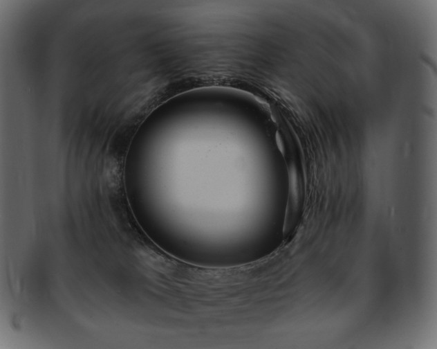 X0000093210037200710031429