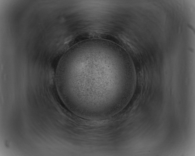 X0000093210038200710031429