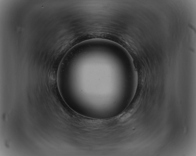 X0000093210040200710031429