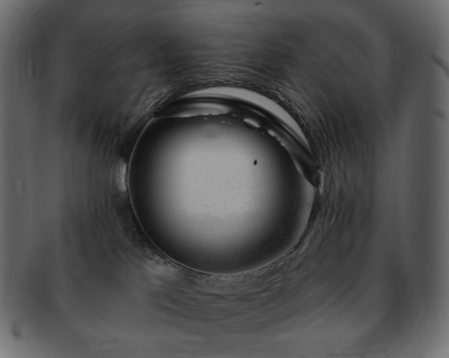 X0000093210041200710031429