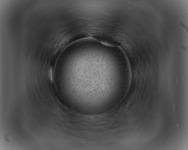 X0000093210042200710031429