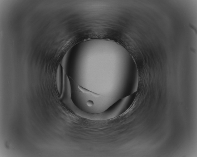 X0000093210045200710031429