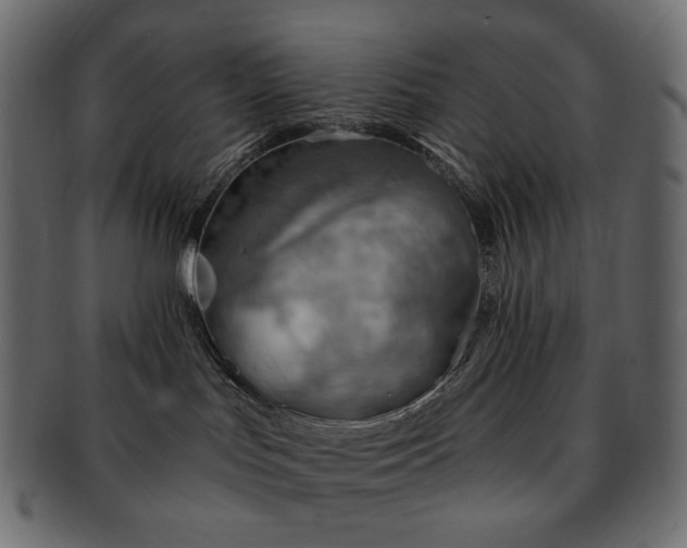 X0000093210047200710031429