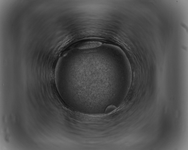 X0000093210048200710031429