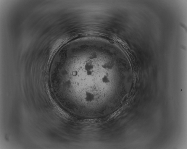 X0000093210049200710031428