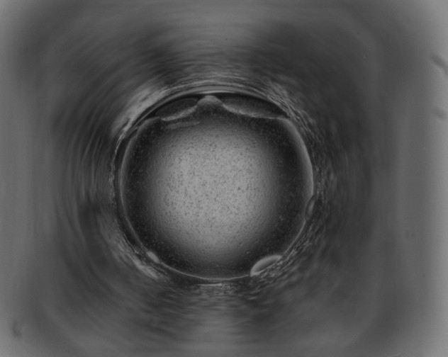 X0000093210050200710031428